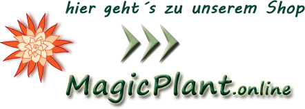 Link zum Webshop